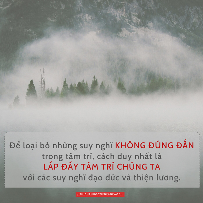 co dai