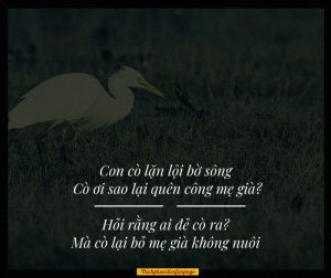 co oi sao lai quen cong me gia 1