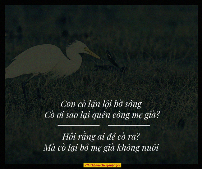co oi sao lai quen cong me gia 1