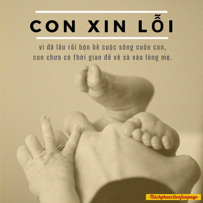 Vết sẹo của mẹ - Đời Sống 1 con xin loi me