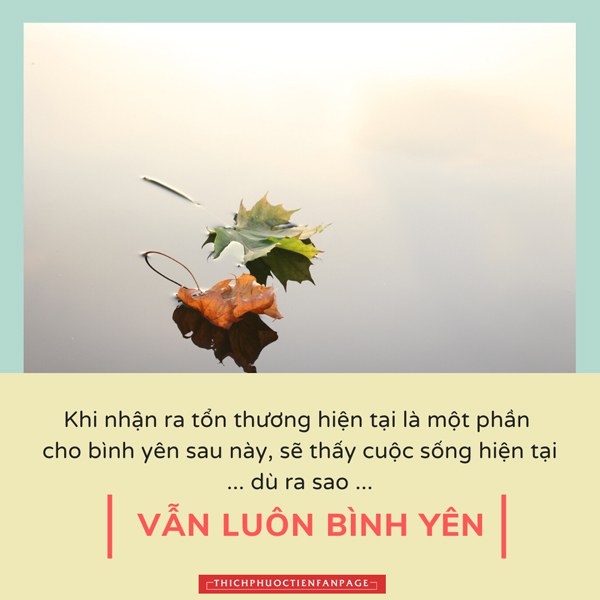 Cuộc sống nhìn từ ô cửa thiền (20) - Đời Sống 1 cuoc song nhin tu o cua thien 20