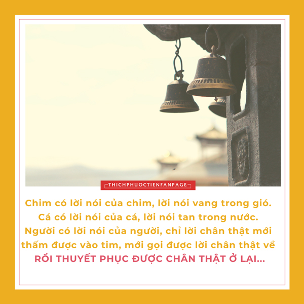Cuộc sống nhìn từ ô cửa thiền (24) - Đời Sống 1 cuoc song nhin tu o cua thien 24