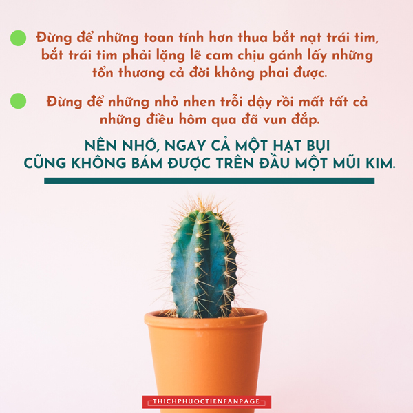 cuoc song nhin tu o cua thien 25