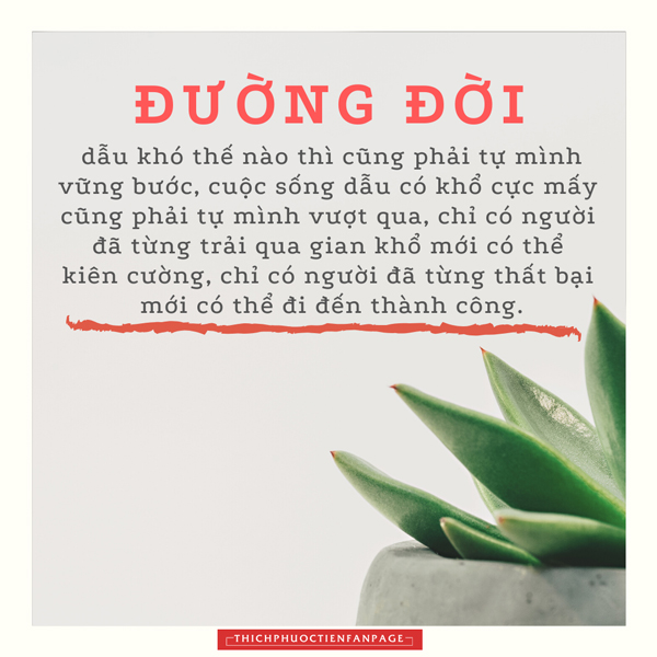 duong doi
