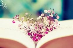 hanh phuc trong tam tay p4