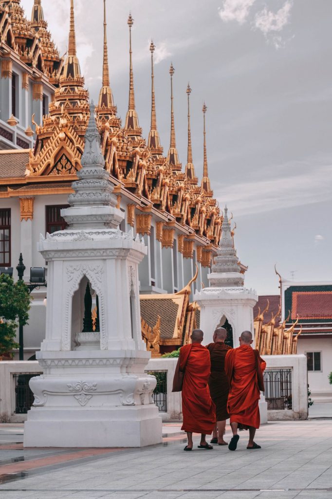 Ai cũng cần có bạn - Đời Sống 1 kiril dobrev MB1YI7cLOG4 unsplash