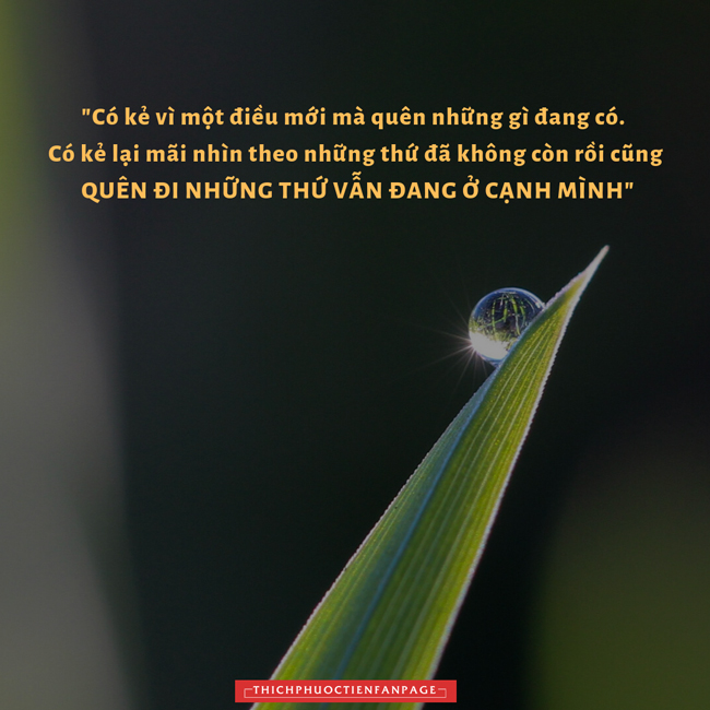 loi kinh trong long ban tay 1