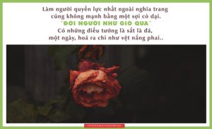 loi kinh trong long ban tay 32