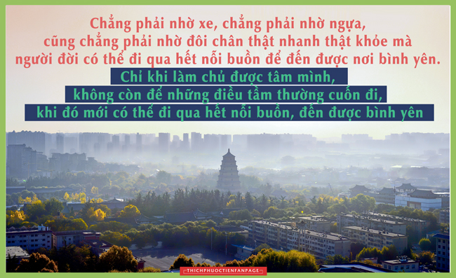 loi kinh trong long ban tay 34