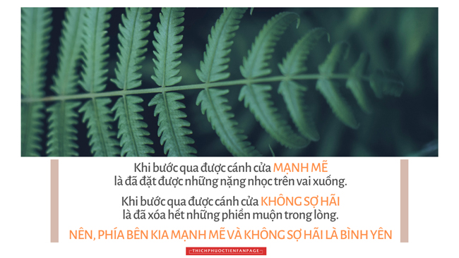 loi kinh trong long ban tay 5