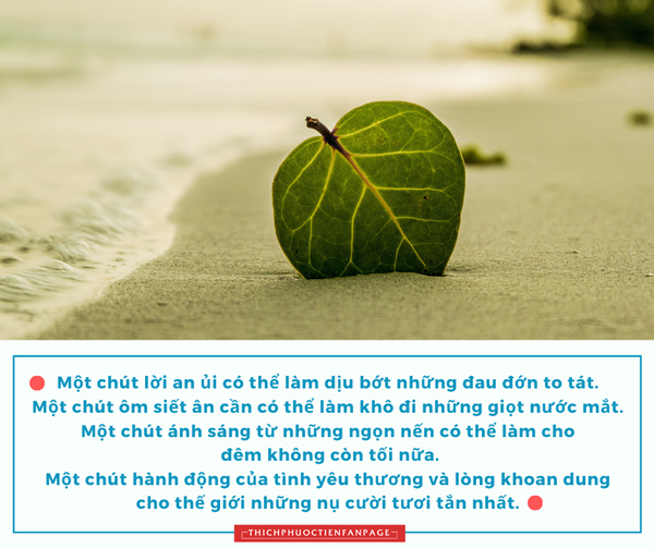 mot chut trong cuoc doi