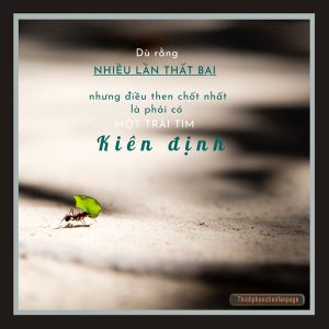 mot trai tim kien dinh