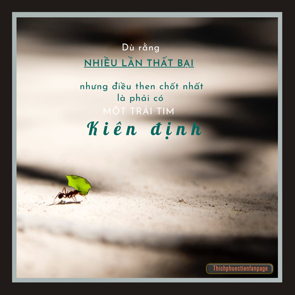 mot trai tim kien dinh