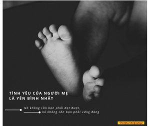 nhung cau noi hay ve cha me