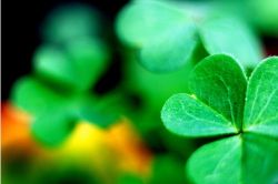 quan tri nhan duyen p8