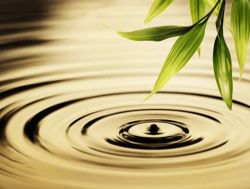 quan tri nhan duyen p9