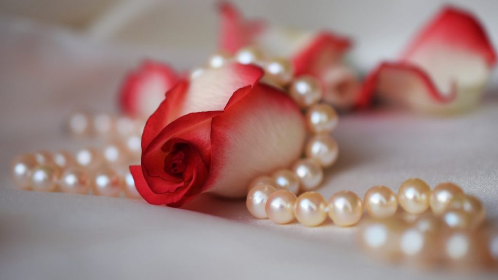 rose 3030462 1920
