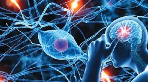 sleepdays cai thien roi loan than kinh thuc vat