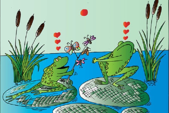 Sự tích con cóc