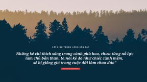 thich phuoc tien loi kinh trong long ban tay 14