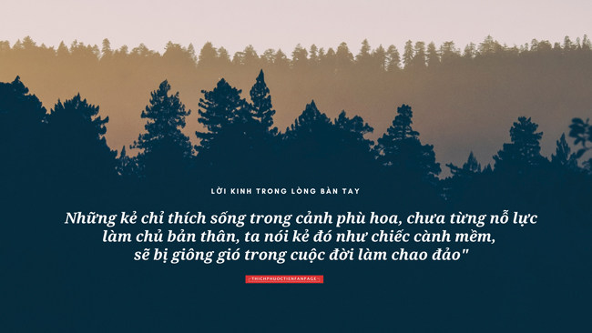 Lời Kinh trong lòng bàn tay (14) - Đời Sống 1 thich phuoc tien loi kinh trong long ban tay 14