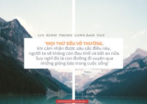thich phuoc tien loi kinh trong long ban tay 17
