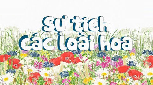 Những Truyện Cổ Tích Hay Sự Tích Về Các Loài Hoa 13 truyen co tich su tich ve cac loai hoa