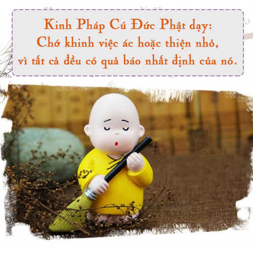 vut rac dung cach cung la chan tu