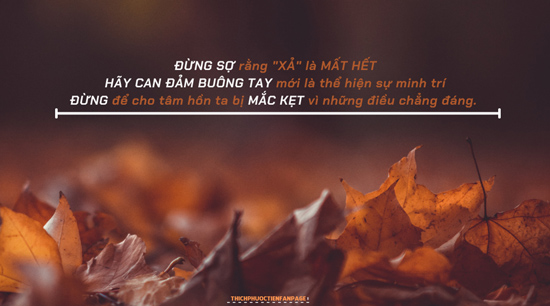 Câu chuyện cuộc sống về chiếc xe cần phải xì hơi - Đời Sống 1