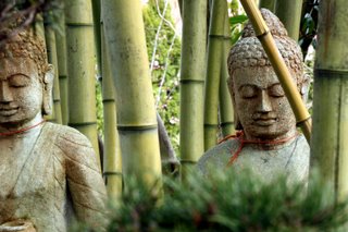 Buồn Chi Mà Ba Bốn Bữa... - Đời Sống 3 buon chi ma ba bon bua