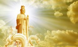 gia tri luc cua quan am tham tham vi dieu