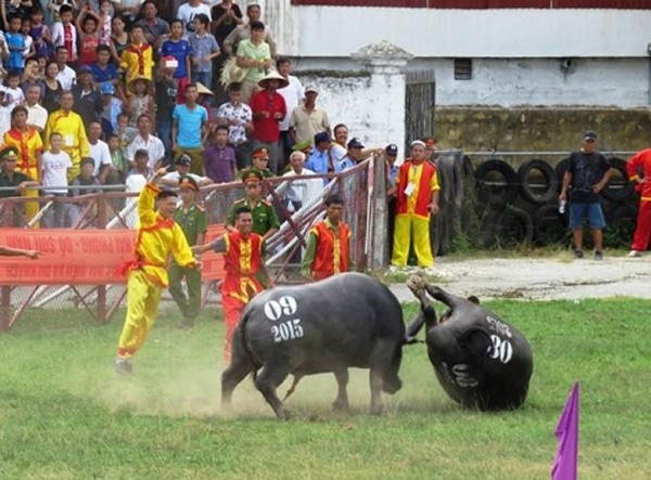 ke me vui trong dau kho cac loai suc sinh