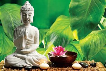 nhin trai ma thay nguoi