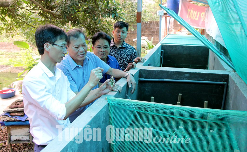 nuoi ca cuong 1jpg 16539304168321429822861