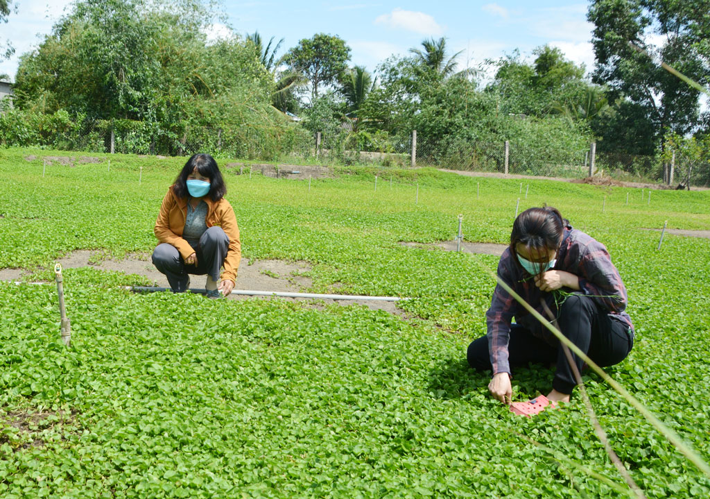 4 1655826973060 16558269739511668861090