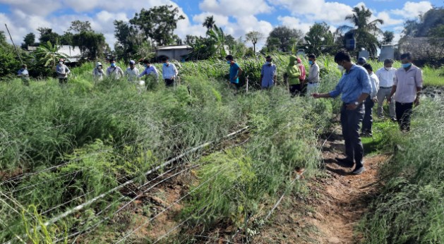 mangtgiang 1656089666700 1656089667193468018589