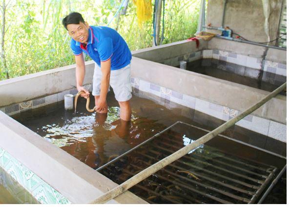 nuoi luon khong bun 1jpg 16541015248571755827321