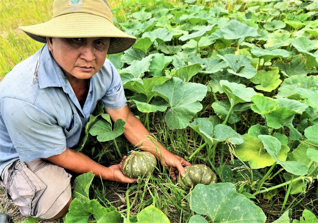 trong bi duoi ruong lua 2 1654074595719232889202