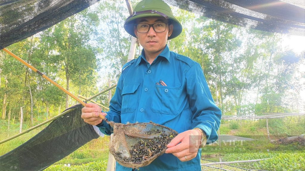 Nuôi ốc đặc sản "nghiện" nhai bèo, kỹ sư 8X Hà Tĩnh vượt hoàn cảnh tàn tật, cả làng phục lăn 1 z345962275242747ad1e45043ef11f49f6ef789e009034 16542130734211382625238 16542134724391782693223