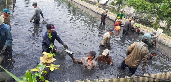 nuoi ba ba 1 1658589341936220473903