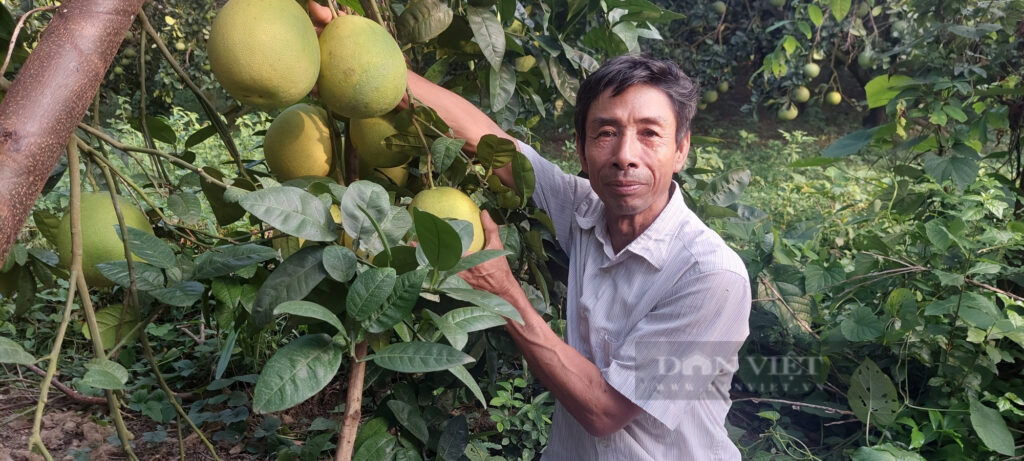 20220817171012 16611374097291869339339 16611759136832009219208