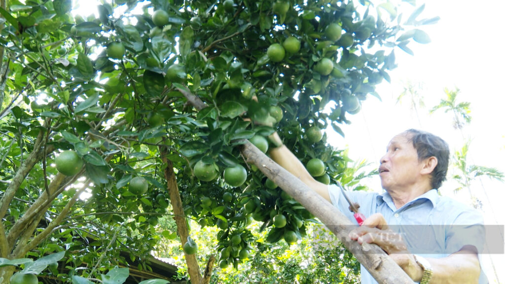 9457351mxf16563224still001 16595109111552110193903 16595111855282002510591