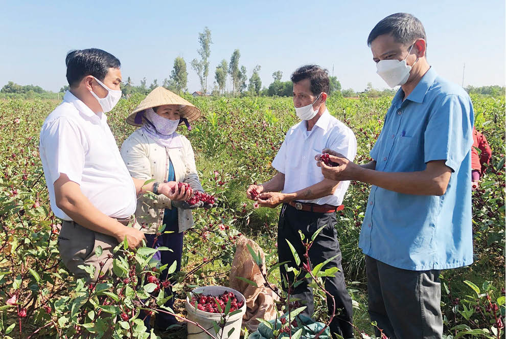 atiso do 1659544160155 1659544160498251043133