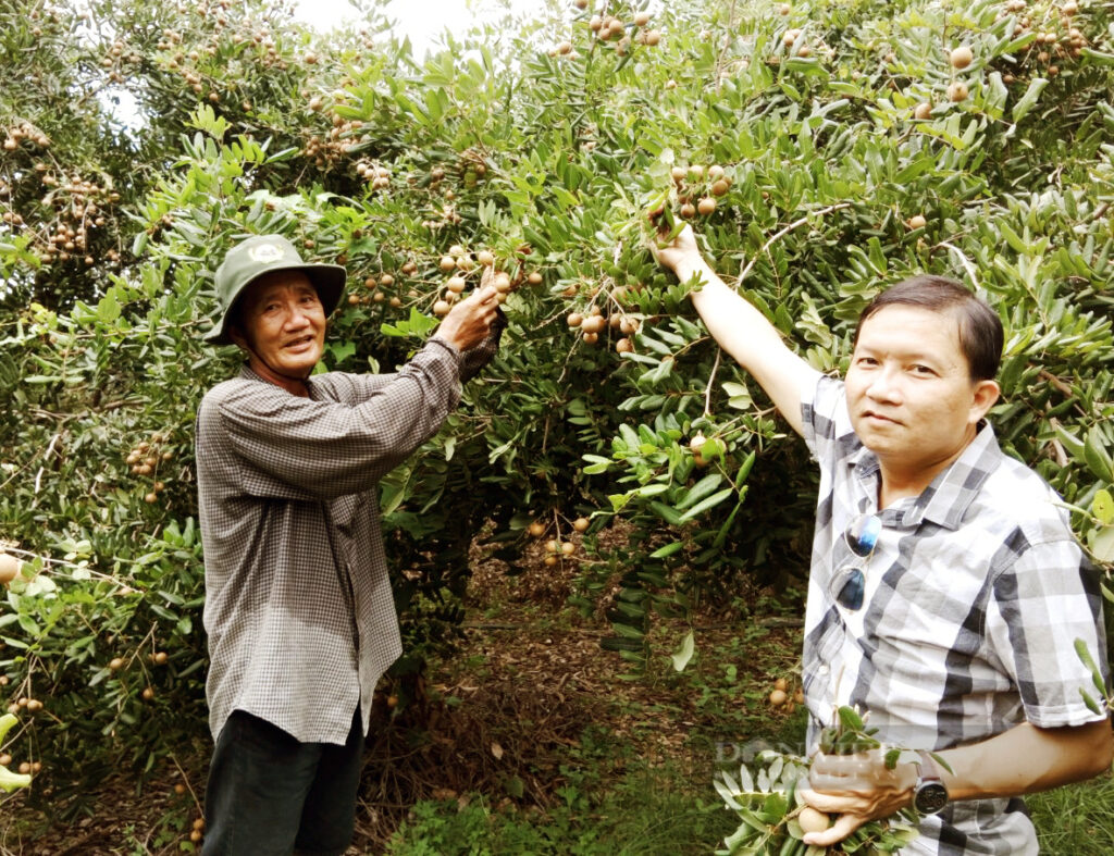 trong nhan 4 1659372405074991670297 16593729370441789508490