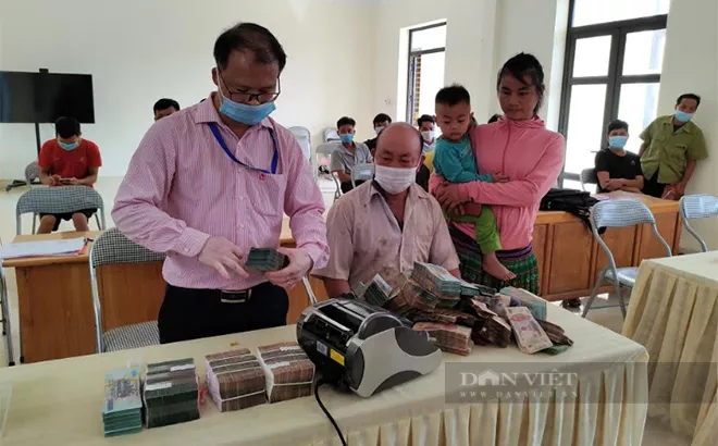 1663054152 dt972021833ty phu2 16629731639981328729769 16629732740371554131334