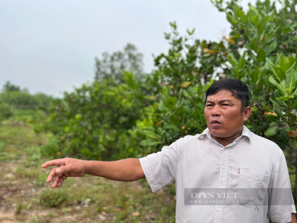 2977883194255188563137136292703486344659576n 16624613713491222469227 16624618684091553203511