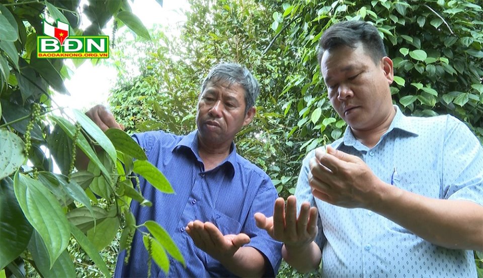 3919 kt 3 1662568044165 16625680448091484257737