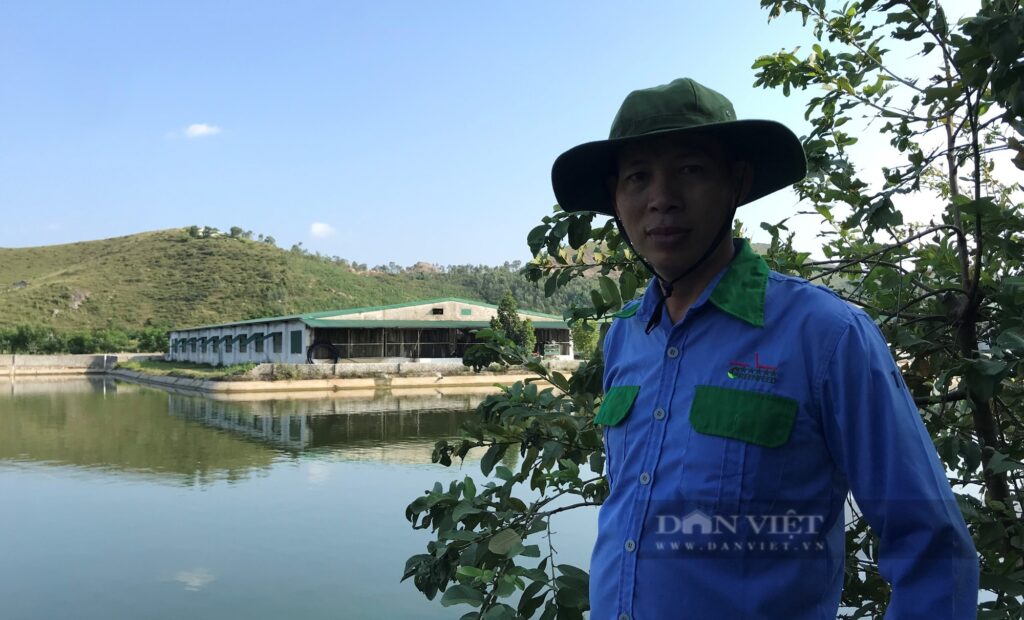 Anh nông dân Nghệ An có "cú liều lịch sử", vay hàng chục tỉ xây phòng lạnh chỉ để nuôi lợn 1 a4 1663040091456925271555 1663041055375173439306