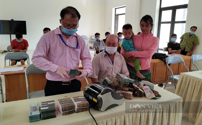 dt972021833ty phu2 16629731639981328729769 16629732740371554131334