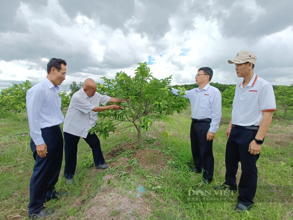 img20220818115202 1661966241311828427298 166219600293581756287